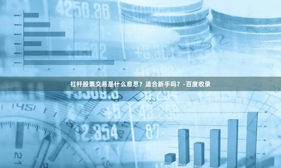 杠桿股票交易是什么意思？適合新手嗎？-百度收錄